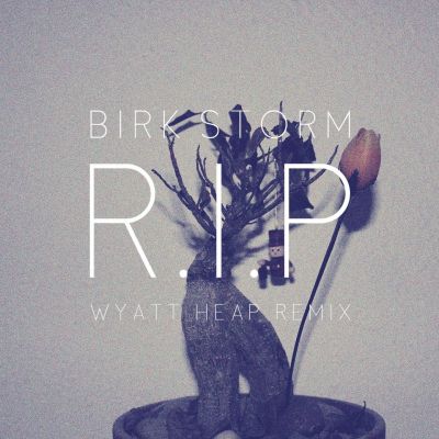 Birk Storm – ‘R.I.P.’ (Single)