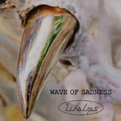 Echo Lips – ‘Wave of Sadness’ (Single)