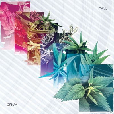 Itvivl	– ‘Ophav’ (Album)