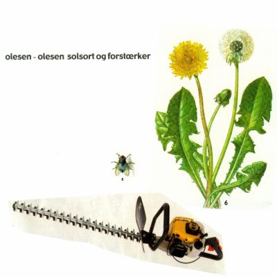 Olesen Olesen – ‘Solsort & Forstærker’ (Single)